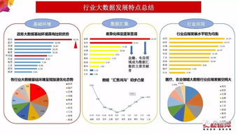 中國大數(shù)據(jù)產(chǎn)業(yè)發(fā)展評估報告 2017年 發(fā)布 完整版ppt