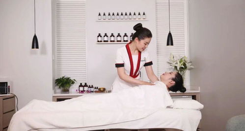 美容師國家職業等級認定教材拍攝圓滿收官 技術標準與服務規范的視覺詮釋