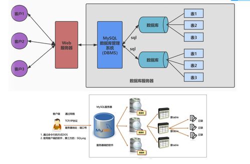 常見數據庫管理系統軟件概覽