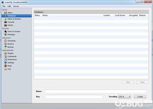 CubesQL數(shù)據(jù)庫(kù)管理系統(tǒng) v5.7.2 官方版下載與簡(jiǎn)介